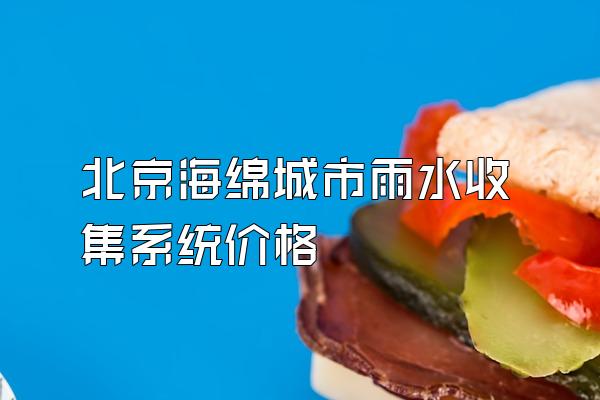 北京海綿城市雨水收集系統價(jià)格
